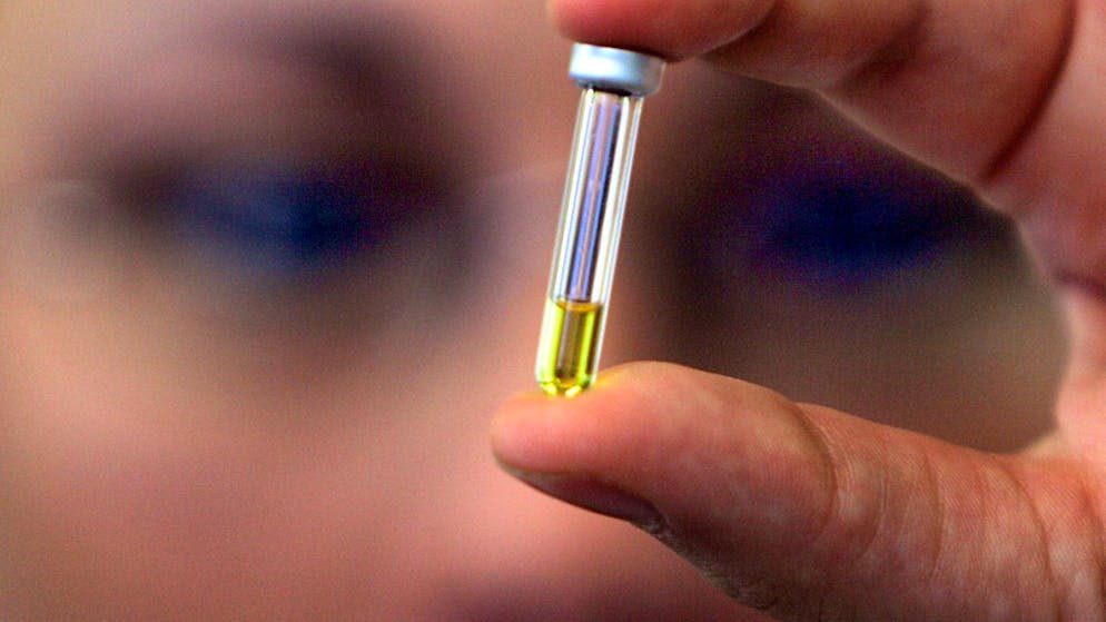 In Mitlödi GL ist eine chemische Flüssigkeit ausgelaufen und im Boden versickert. Die kontaminierte Stelle wird nun mit einem Bagger abgetragen. (Symbolbild)