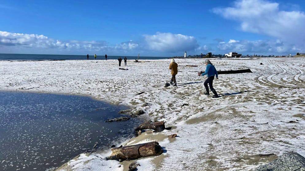 Ein seltener Anblick: Schnee am Strand von Santa Cruz in Nordkalifornien. (23. Februar 2023)