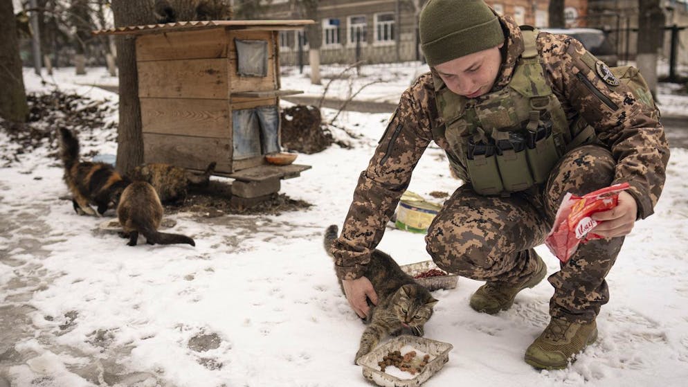 Die harschen Wintertemperaturen machen nicht nur Soldaten und Zivilisten zu schaffen. Charkiv, am 25. Februar 2023.