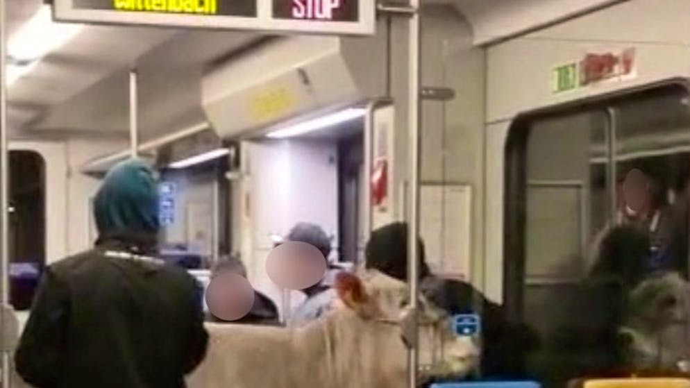Tierischer Passagier. Diese Kuh fährt mit dem Zug nach Hause