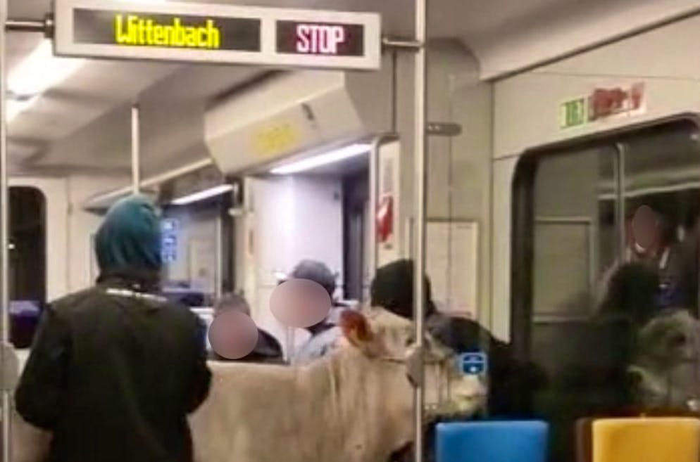 Sieht man nicht aller Tage: Eine Kuh wird im Zug mitgenommen.