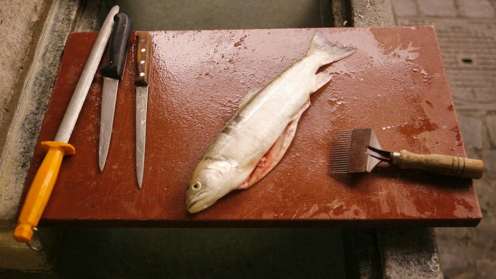 Giftige PFAS-Chemikalien sind in der Natur gar nicht oder erst nach sehr langer Zeit abbaubar, sammeln sich im Boden, in Lebensmitteln und dem Trinkwasser an – und gelangen so in unseren Körper.