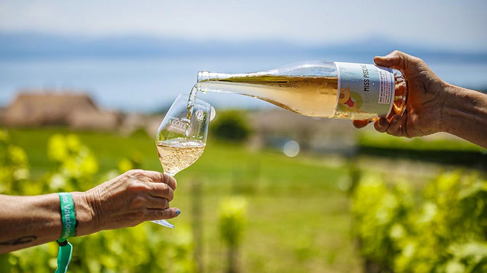 Un'annata positiva per il vino svizzero. (Foto d'archivio)