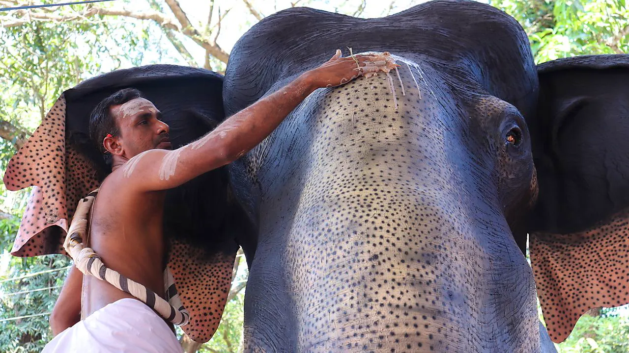 Aktuell. Indien: Tempel feiert mit mechanischem Elefanten