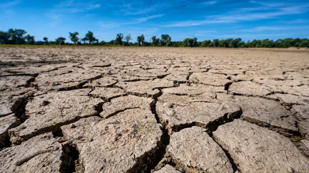 Ausreisser oder bedrohlicher Vorbote?. Das sagt die Forschung zum Hitzejahr 2023
