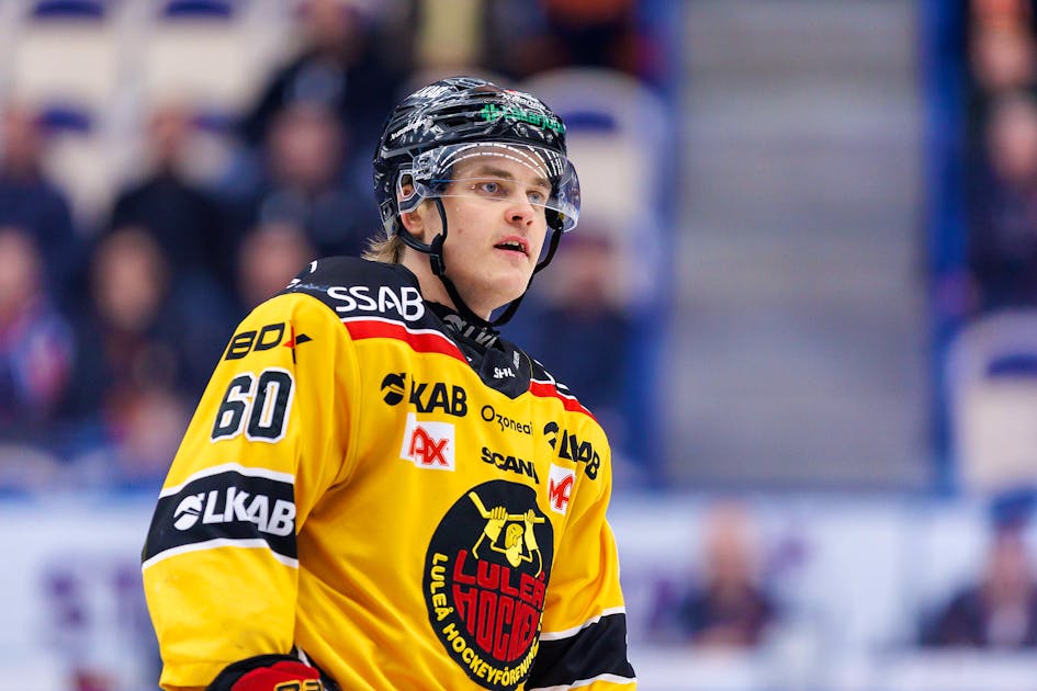 Julius Honka SC Bern verpflichtet offensivstarken Verteidiger blue News