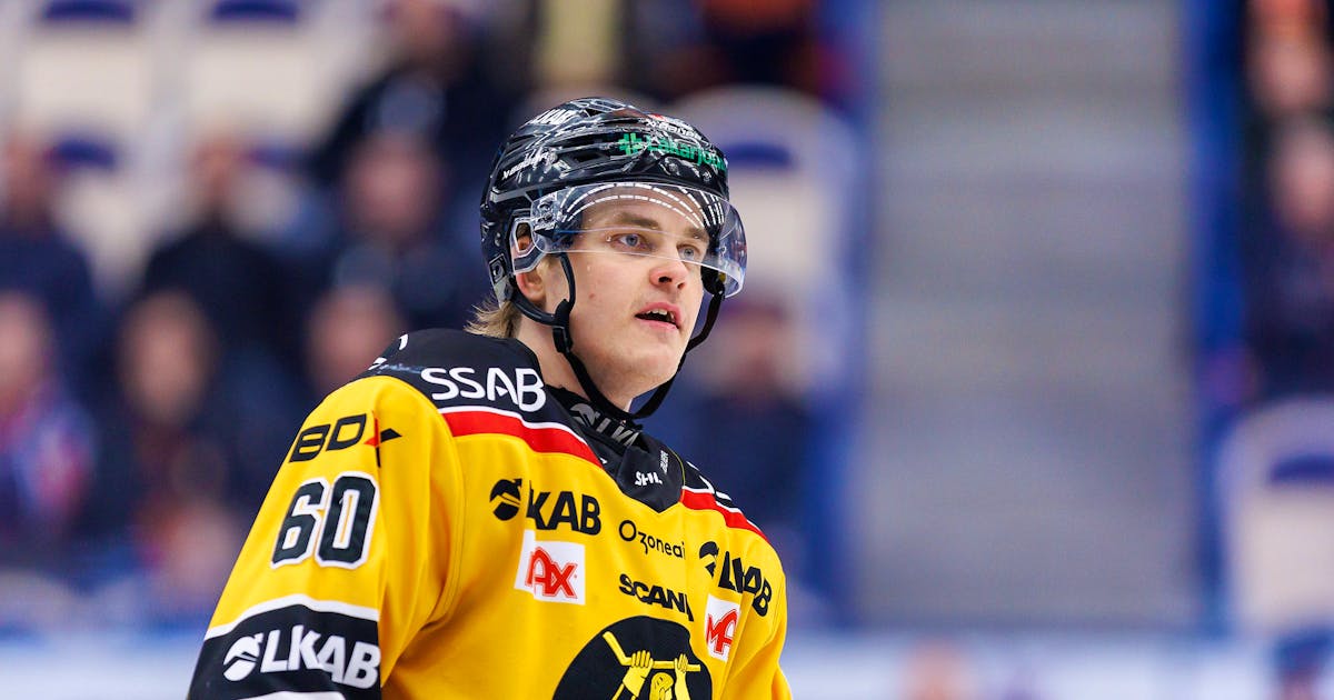 Julius Honka SC Bern verpflichtet offensivstarken Verteidiger blue News