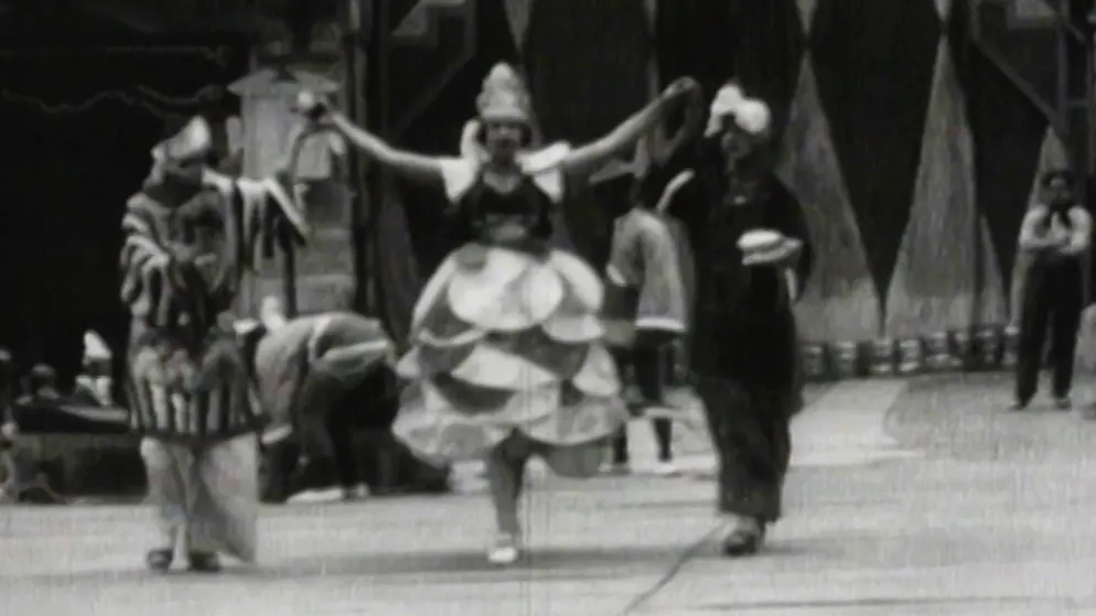Ein Video und seine Geschichte. Locarno im Kamelien-Fieber
