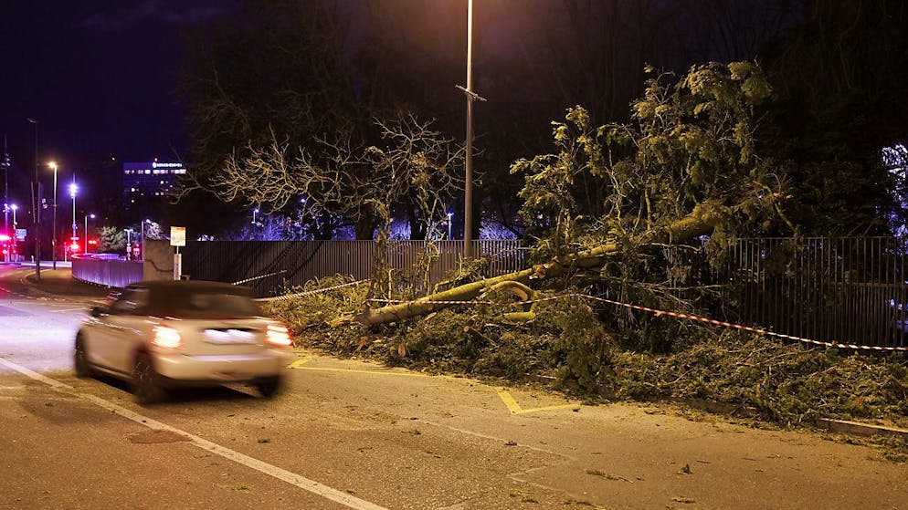 Des rafales, liées à la tempête "Mathis" ont traversé le Plateau vendredi (archives).