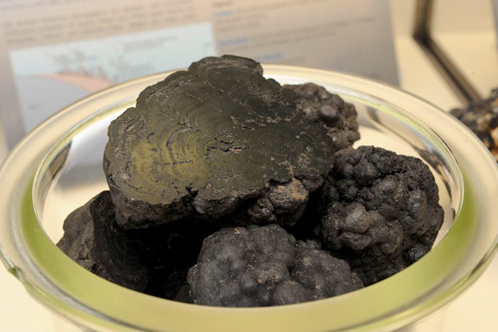 Manganknollen in einer Schale im Rohstofflabor des Tiefseeforschungsschiffes «Sonne».