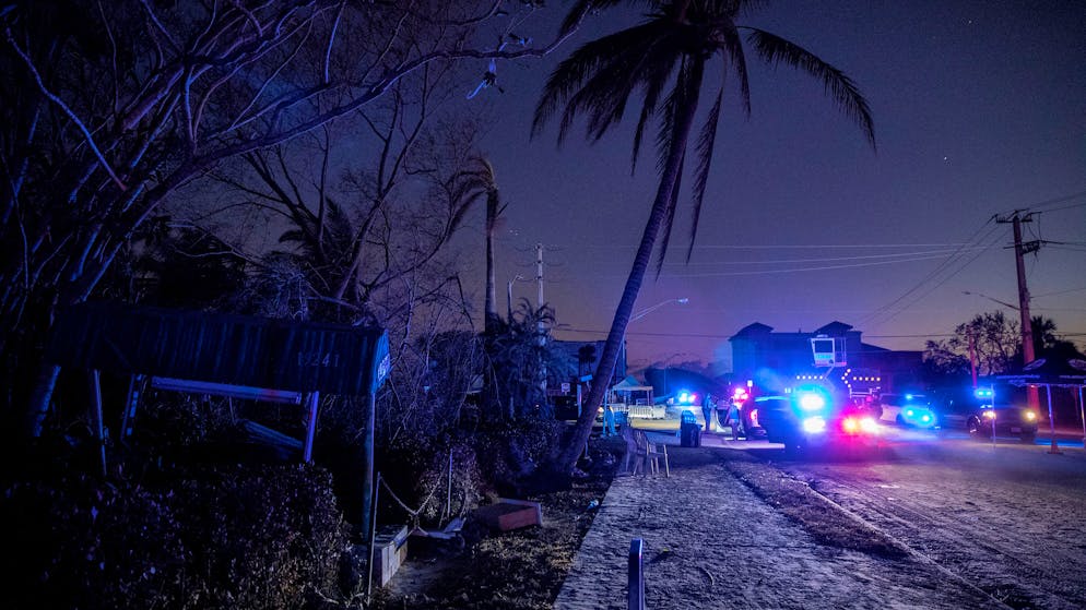 Bizarrer Mord in Florida. Leiche eines Zweijährigen in Alligator-Maul gefunden