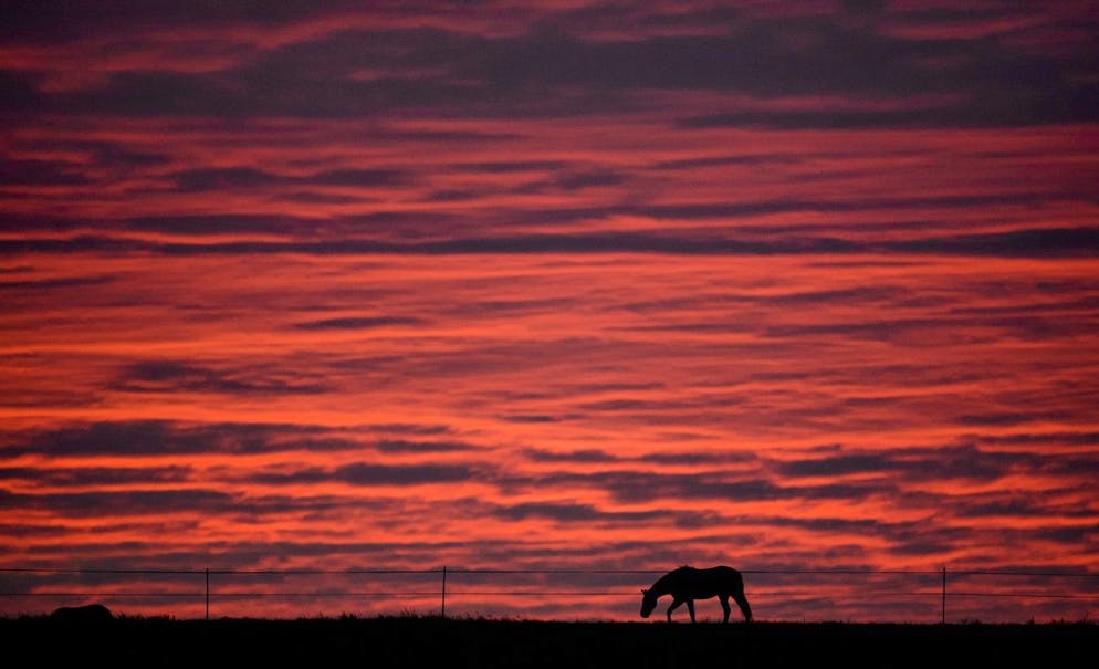 Le dicton de ce 13 avril: «Ciel rouge au matin est un pluvieux voisin»