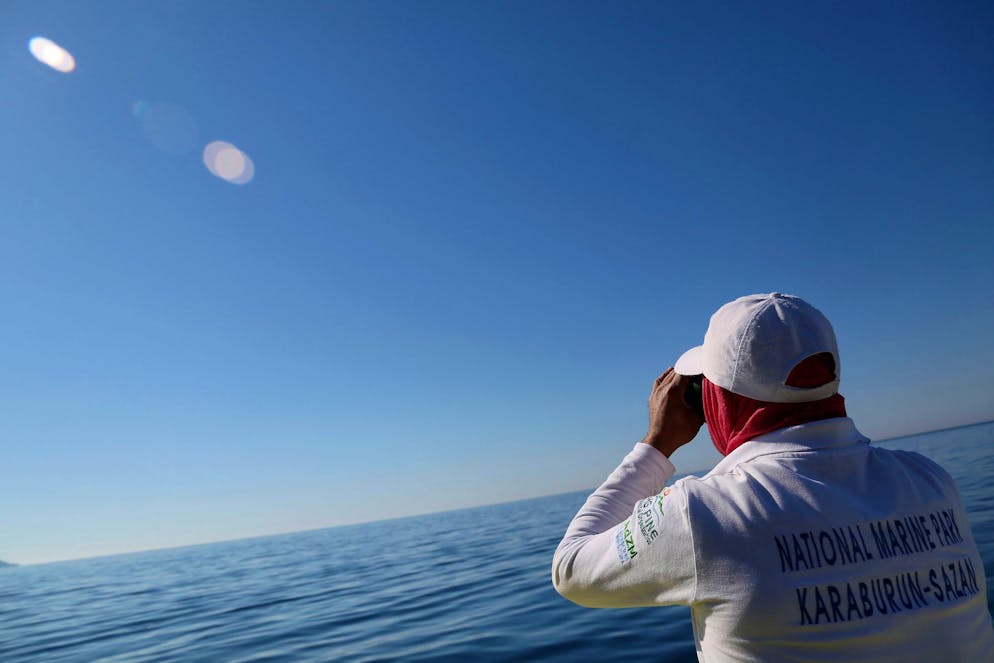 Des experts albanais de la faune marine sont à la recherche du phoque moine de Méditerranée, un animal rarissime.