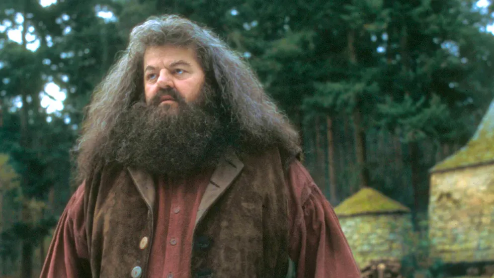 HBO und das Harry-Potter-Remake. Unvergessen auch Robbie Coltrane als herzallerliebster Rubeus Hagrid.