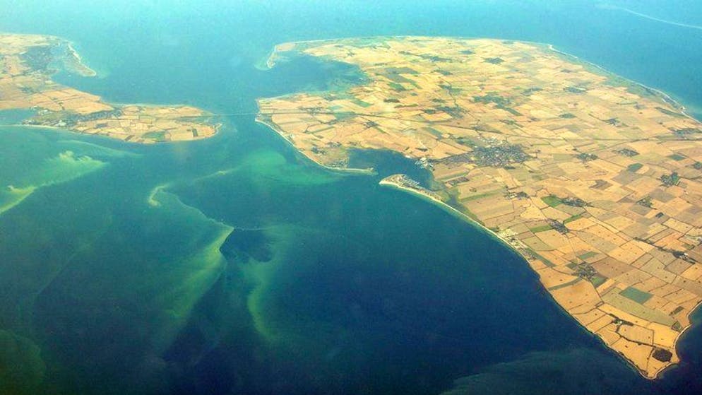 Hitze global: Die Erwärmung des Mittelmeers spüren wir bis in die Schweiz. ... und die Bildung von Algenteppichen wird begünstigt, wie hier vor der Küste des norddeutschen Bundeslands Schleswig-Holstein. 