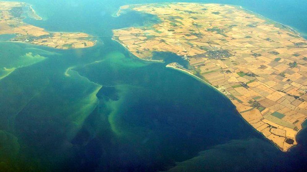 Algenteppiche schwimmen vor der Insel Fehmarn (r) an der schleswig-holsteinischen Ostseeküste.