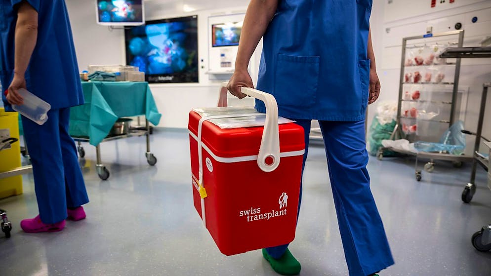 Immagine illustrativa