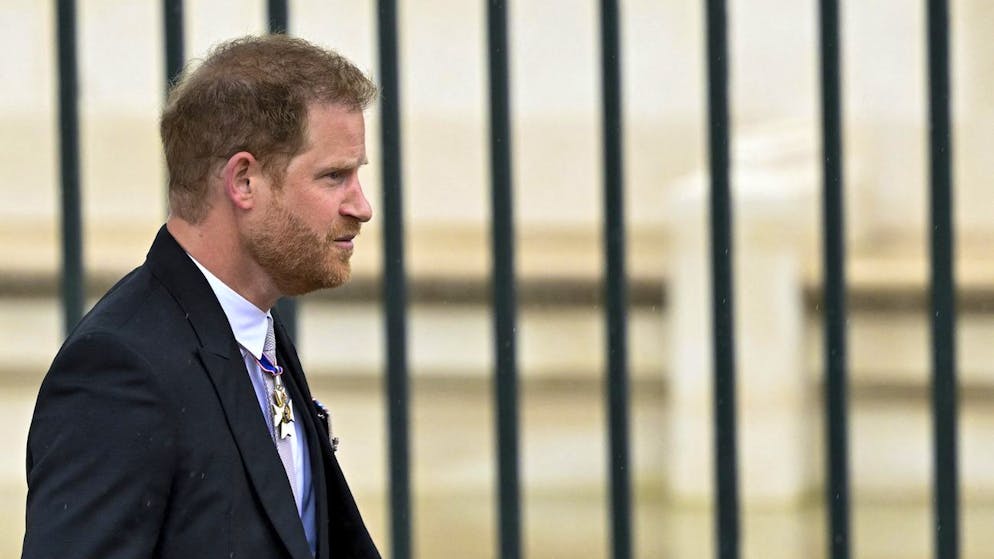 Pagandola di tasca propria. Nuova azione legale di Harry per avere la scorta nel Regno Unito