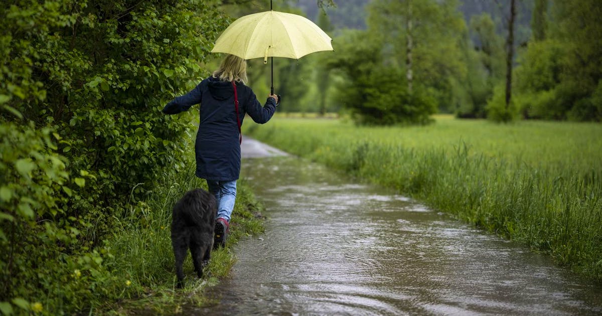 Weather luck.  Switzerland hardly misses the flood