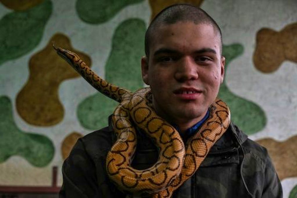 Au Brésil, des reptiles s'invitent en thérapie - Gallery. David de Oliveira Gomes assiste à une séance de thérapie avec des reptiles à la Walking Equotherapy Clinic de Sao Paulo, au Brésil, le 30 mai 2023