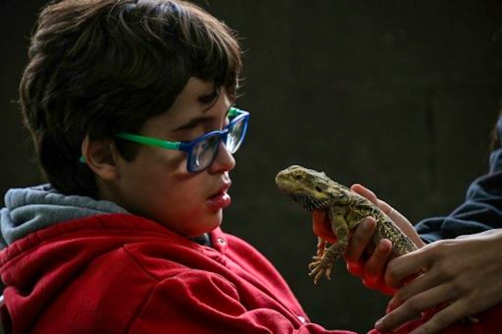 Au Brésil, des reptiles s'invitent en thérapie - Gallery. Gabriel Pinheiro assiste à une séance de thérapie avec des reptiles à la Walking Equotherapy Clinic de Sao Paulo, au Brésil, le 30 mai 2023