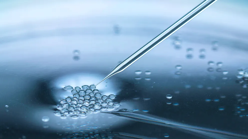 Umstrittener Durchbruch. Forscher kreieren künstlichen Embryo aus menschlichen Zellen