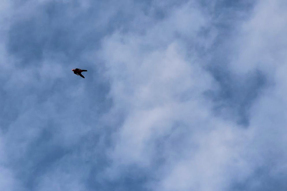L'homme s’était élancé avec une combinaison de vol (wingsuit) depuis le point «Bira». (image d'illustration)