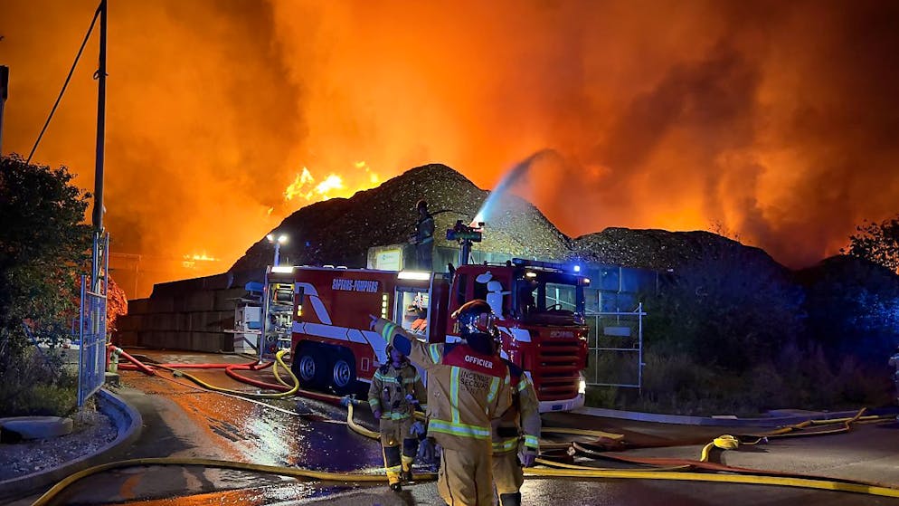 Le feu est sous contrôle à Satigny (image @Incendie Secours Genève).