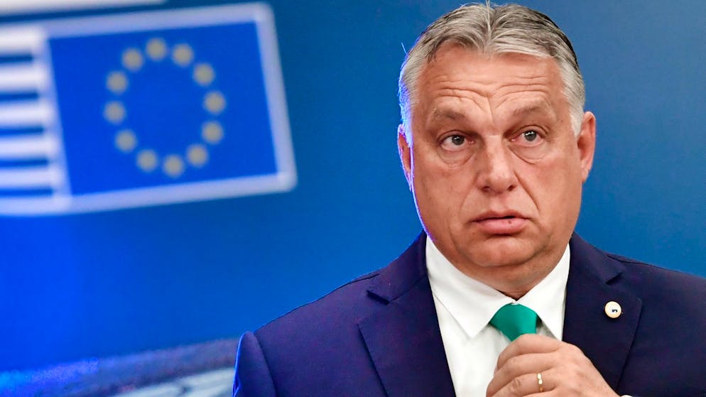 «Ich sage das voller Bitterkeit». Viktor Orban rät der Schweiz von einem EU-Beitritt ab