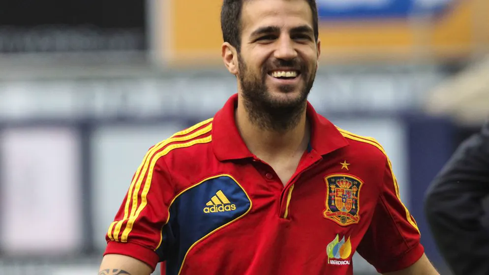 Cesc Fabregas im Trikot der spanischen Nationalmannschaft (Archivbild)