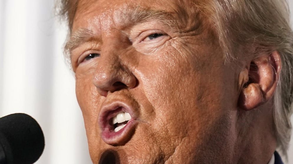 Stati Uniti. Ecco come un ricco repubblicano vuole fermare Donald Trump