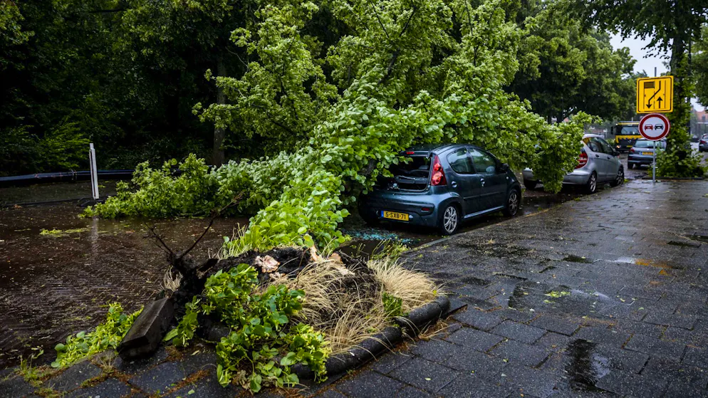 Sturmtief sorgt für Hunderte Einsätze - Gallery. Umgestürzter Baum auf einem Auto im niederländischen Haarlem.