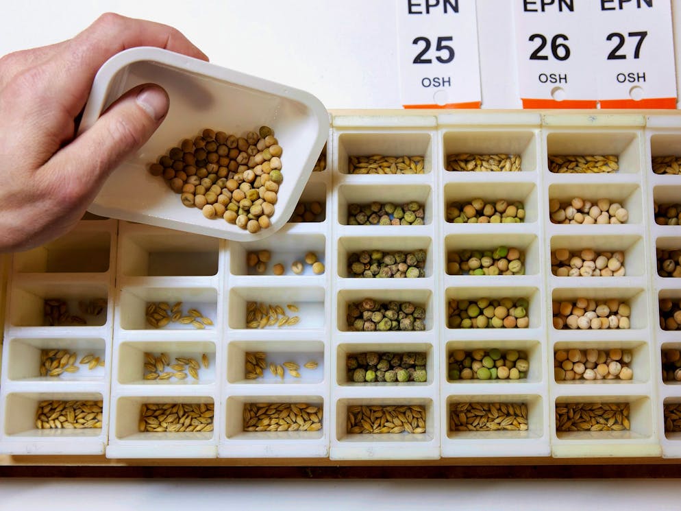 Coop Naturaplan. Aus den Kreuzungen gilt es, die richtige auszuwählen.