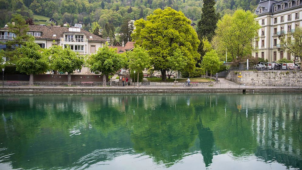 Der Thuner Gemeinderat will eine Velobrücke vom linken Aareufer zum Aarequai prüfen. (Aare und Aarequai/Archivbild)