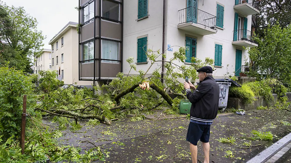 Gewitter der höchsten Gefahrenstufe können Schäden verursachen: Umgestürzte Bäume nach einem Unwetter in Zürich am 13. Juli 2021: (Archivbild)