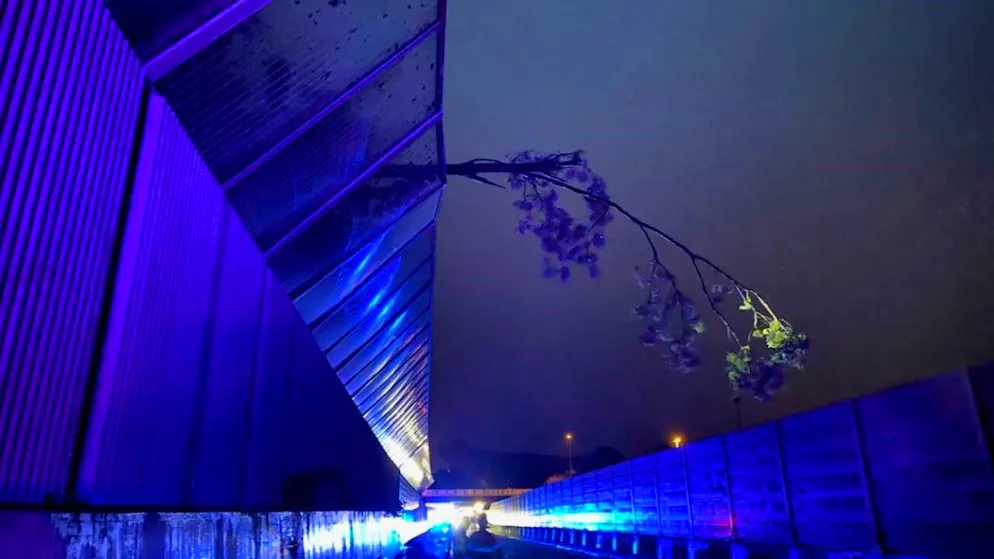Mann rettet sich im Gewitter aus sinkendem Boot im Hafen von Zug - Gallery. Ein geknickter Baum drohte auf die A14 zu fallen.