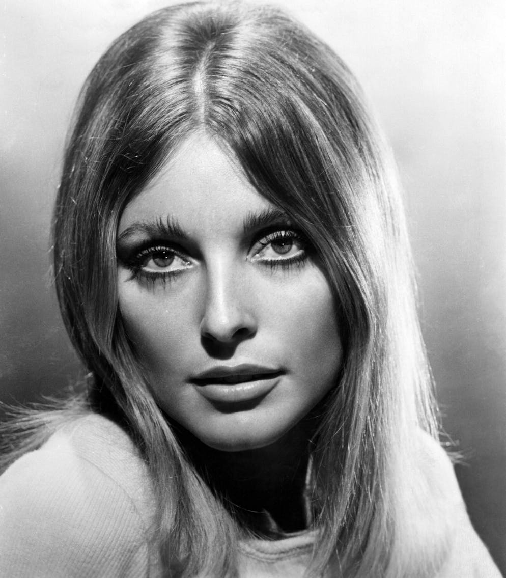 Charles Manson e le sue seguaci. L'attrice emergente Sharon Tate, in una foto del 1967.