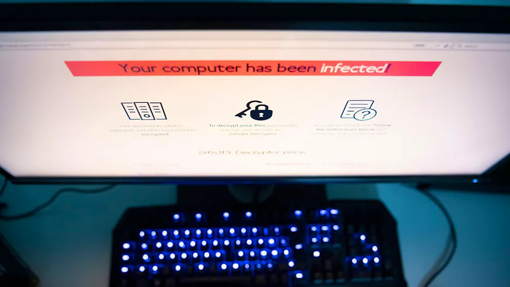 Cibercriminalità. Un estratto del sistema HOOGAN è finito nel dark web