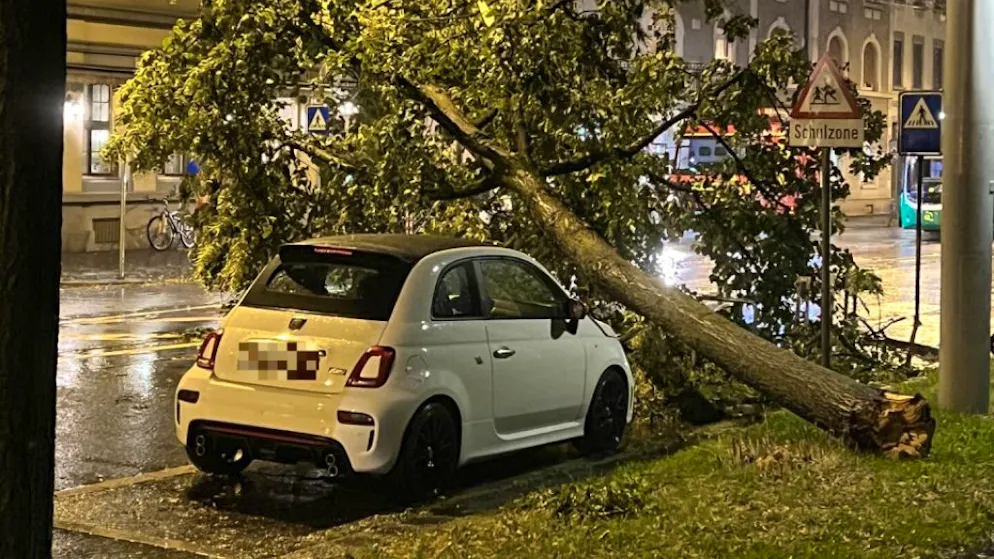 Der Sturm brachte in Basel mehrere Bäume zu Fall.