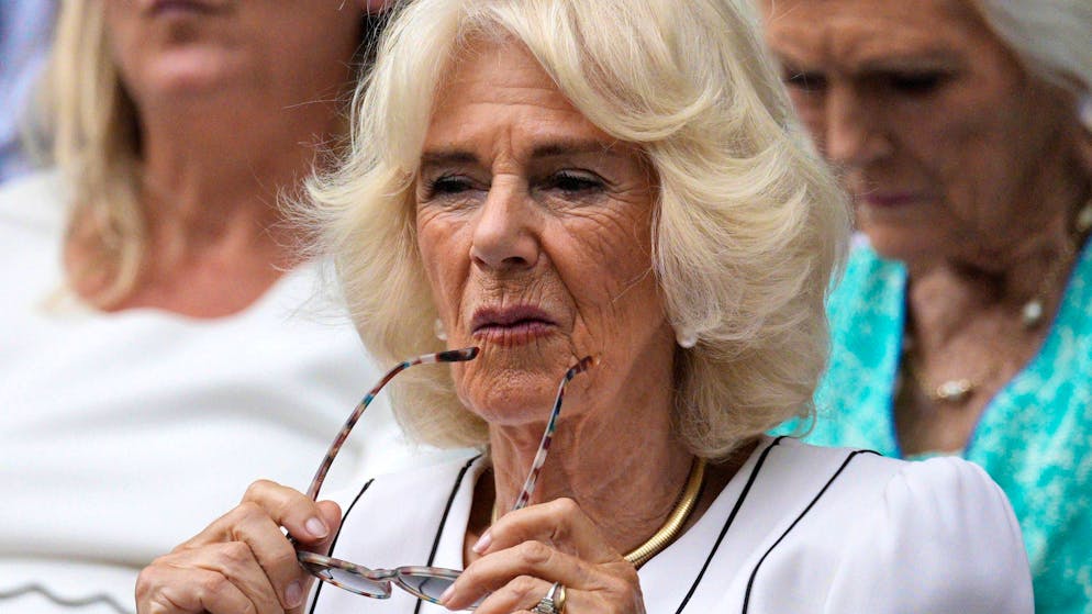 Man assaulted on the train. Queen Camilla describes incident with groper