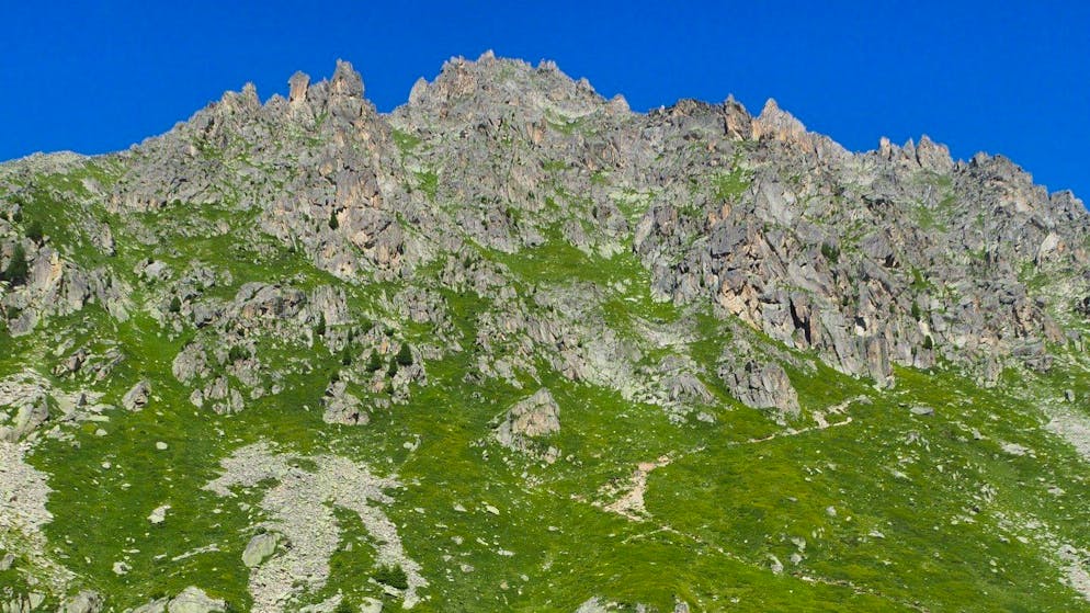 Immagine illustrativa.