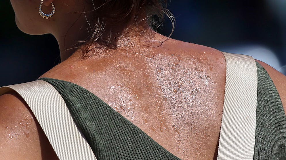 Klimaforscher über Extrem-Hitze. «2023 wird in fünfzig Jahren als noch kühles Jahr gelten»