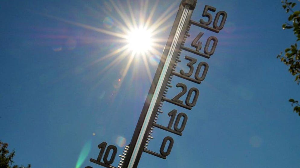 Secondo l'OMM il numero di ondate di calore simultanee nell'emisfero settentrionale è aumentato di sei volte dagli anni Ottanta.