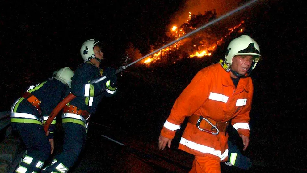 Waldbrände in der Schweiz. Das waren die schlimmsten Brände der letzten Jahrzehnte