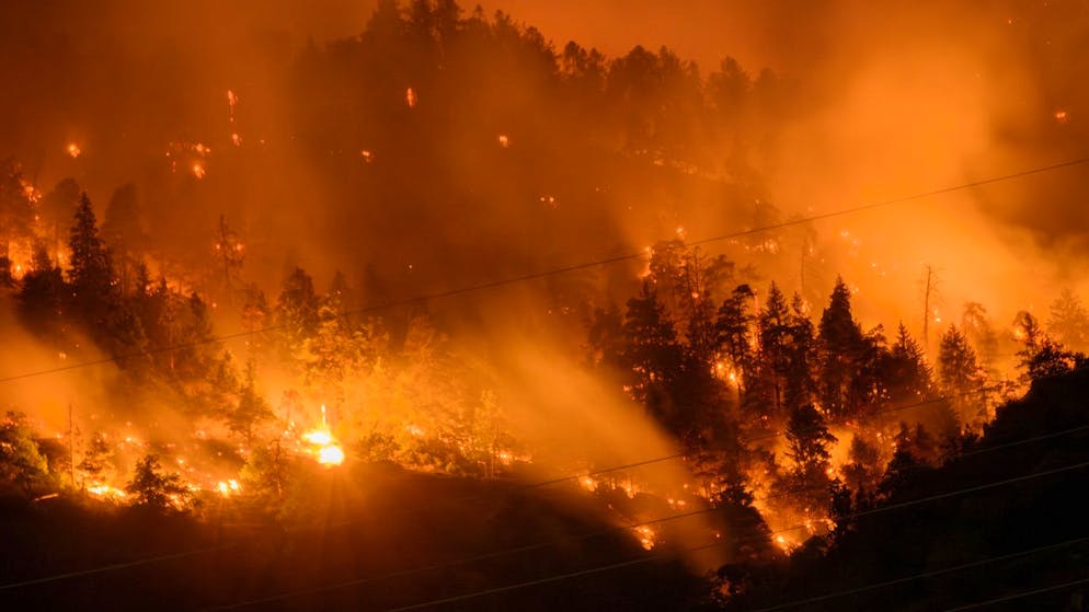 Hitze global: Die Erwärmung des Mittelmeers spüren wir bis in die Schweiz. Und: Auch Waldbrände werden nur noch zunehmen. Im Bild: Am 17. Juli bricht in Bitsch im Oberwallis ein Feuer aus. 