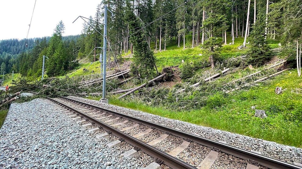 Ieri pomeriggio una caduta di alberi ha ostruito il passaggio dei treni nella Valle dell'Albula, nei pressi di Preda.