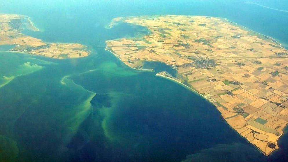 Canicola. ...e viene favorita la formazione di tappeti di alghe, come in questo caso al largo della costa dello stato tedesco settentrionale dello Schleswig-Holstein.