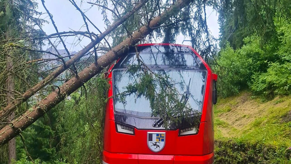 Ab Dienstagnachmittag konnten Züge der Rhätischen Bahn aufgrund von gestürzten Bäumen nicht mehr verkehren.