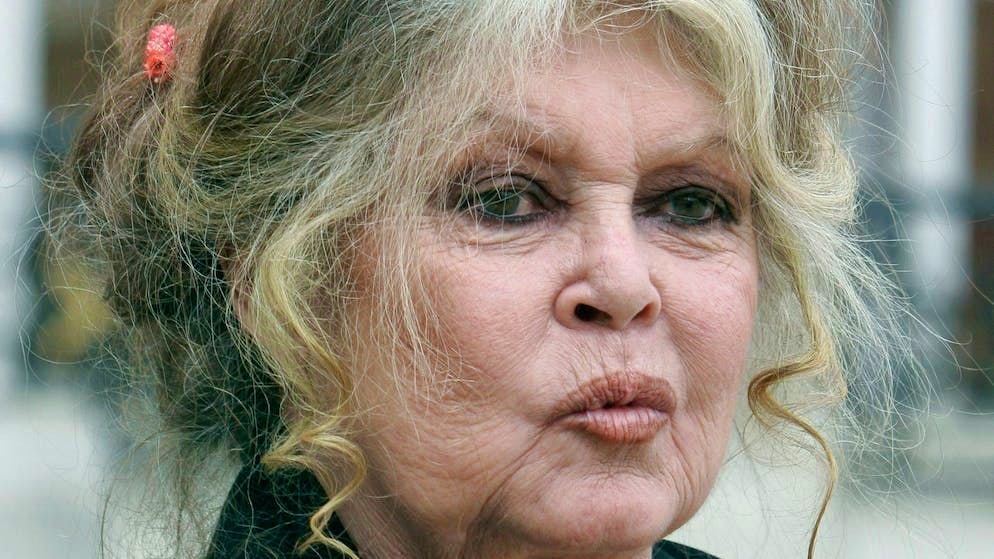 Parla il marito. I soccorritori si sono recati a casa di Brigitte Bardot