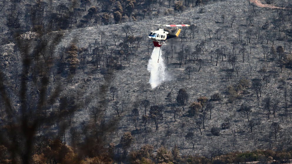 Scorched Earth Around Athens: Extreme heat and lack of rain leave Greece parched.  The forest fire is now under control.